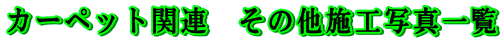 J[ybg֘A@̑{Hʐ^ꗗ