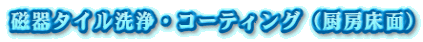 ^CER[eBOi~[ʁj